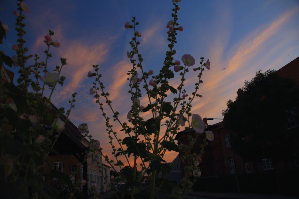 Dalby Kobmandsgardens B&B Kerteminde מראה חיצוני תמונה